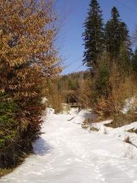 Весна в Карпатах (ФОТОРЕПОРТАЖ)