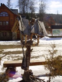 Весна в Карпатах (ФОТОРЕПОРТАЖ)