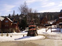 Весна в Карпатах (ФОТОРЕПОРТАЖ)