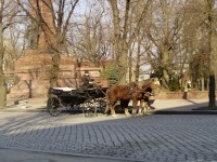 Черновцы глазами кременчужанина (ФОТОРЕПОРТАЖ)