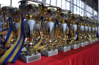 ГРЕКО-РИМСКАЯ БОРЬБА. Команда Кременчуга выиграла зональный чемпионат Украины.