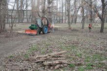 В парке МЮДа в Кременчуге высадят 100 берез