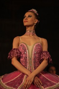 В Кременчуге представили «Спящую красавицу» (ФОТО)