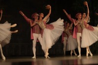 В Кременчуге представили «Спящую красавицу» (ФОТО)