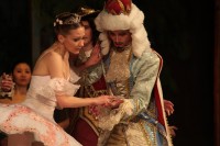 В Кременчуге представили «Спящую красавицу» (ФОТО)