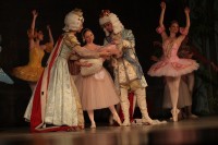 В Кременчуге представили «Спящую красавицу» (ФОТО)