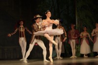 В Кременчуге представили «Спящую красавицу» (ФОТО)