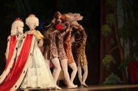 В Кременчуге представили «Спящую красавицу» (ФОТО)