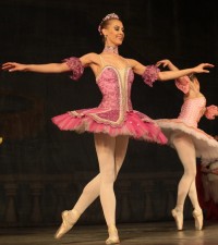 В Кременчуге представили «Спящую красавицу» (ФОТО)