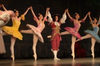 В Кременчуге представили «Спящую красавицу» (ФОТО)