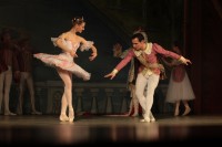 В Кременчуге представили «Спящую красавицу» (ФОТО)