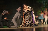 В Кременчуге представили «Спящую красавицу» (ФОТО)