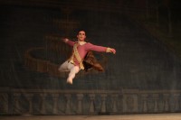 В Кременчуге представили «Спящую красавицу» (ФОТО)