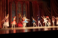 В Кременчуге представили «Спящую красавицу» (ФОТО)