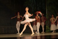 В Кременчуге представили «Спящую красавицу» (ФОТО)