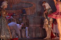 В Кременчуге представили «Спящую красавицу» (ФОТО)