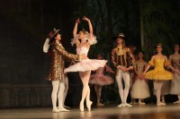 В Кременчуге представили «Спящую красавицу» (ФОТО)