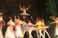 В Кременчуге представили «Спящую красавицу» (ФОТО)