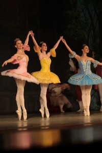 В Кременчуге представили «Спящую красавицу» (ФОТО)