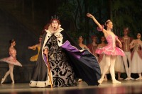 В Кременчуге представили «Спящую красавицу» (ФОТО)