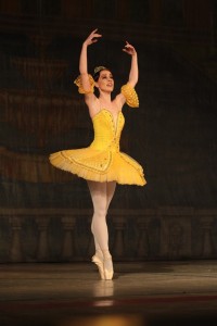 В Кременчуге представили «Спящую красавицу» (ФОТО)