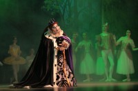 В Кременчуге представили «Спящую красавицу» (ФОТО)