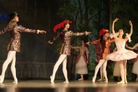 В Кременчуге представили «Спящую красавицу» (ФОТО)