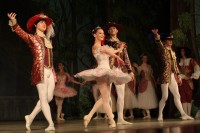 В Кременчуге представили «Спящую красавицу» (ФОТО)