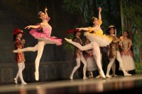 В Кременчуге представили «Спящую красавицу» (ФОТО)