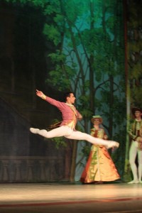 В Кременчуге представили «Спящую красавицу» (ФОТО)