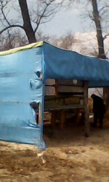 На острове Зелёный снесли незаконные постройки (ФОТО)