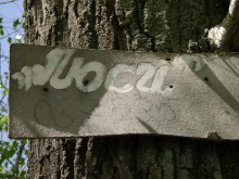 На острове Зелёный сносят последние постройки для отдыха (ФОТО)