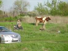 В Кременчуге началось BARSUK-Trophy 2012 (ФОТО, ВИДЕО)