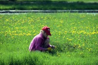 Коммунисты - за мораторий на поднятие цен и тарифов, «Свобода» - за снятие депутатской неприкосновенности. Вместе — против власти! (ФОТО, ВИДЕО)