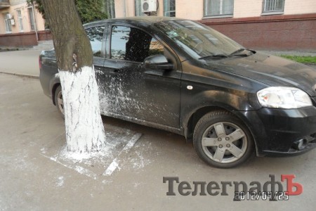 Приколы нашего городка: белим от забора и до заката (ФОТО)