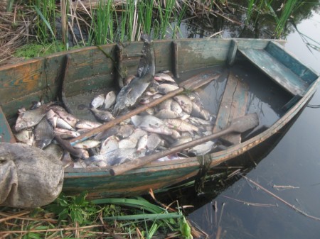 Под Кременчугом поймали браконьера с электроудочкой (ФОТО)