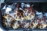 Как «ТелеграфЪ» поздравлял ветеранов с Днем Победы (ФОТОРЕПОРТАЖ)