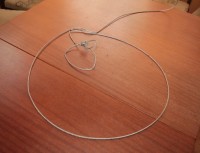 Кременчугские лесники вытащили из капкана барсука (ФОТО)