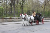 Відень – місто палаців  та вальсу (ФОТО)