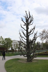 Відень – місто палаців  та вальсу (ФОТО)