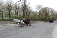 Відень – місто палаців  та вальсу (ФОТО)