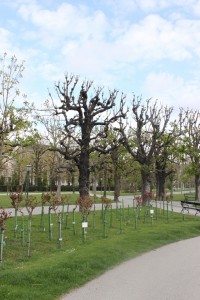 Відень – місто палаців  та вальсу (ФОТО)