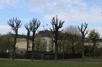 Відень – місто палаців  та вальсу (ФОТО)