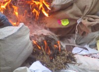 На Полтавщине сожгли 130 кило наркотиков (ФОТО)