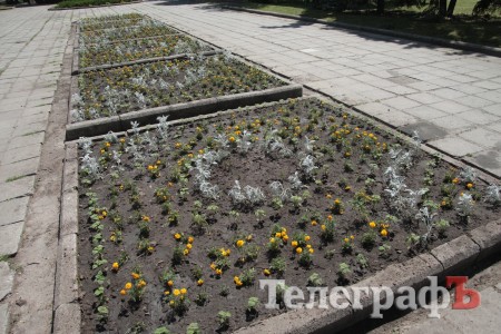 В Кременчуге пройдет конкурс клумб (ФОТО)