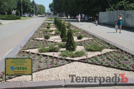 В Кременчуге пройдет конкурс клумб (ФОТО)