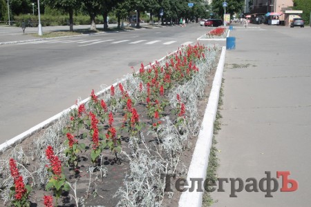В Кременчуге пройдет конкурс клумб (ФОТО)