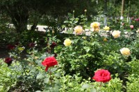 Кременчужан зовут в Бердянск (ФОТО)