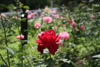 Кременчужан зовут в Бердянск (ФОТО)