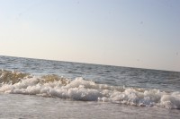 Кременчужан зовут в Бердянск (ФОТО)